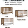 Birdie 3-In-1 Convertible Crib, Walnut - Cribs - 4