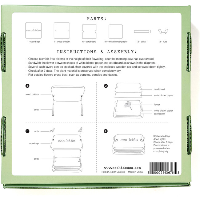 flower press - Activities - 4