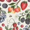 Wild Berry Cocktail Napkin, Set of 20 - Tabletop - 1 - thumbnail