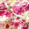 Rosie Embroidered Dress, Floral - Dresses - 7