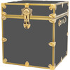 Rhino Cube Embossed Vinyl Trunk, Slate With Antique Brass Trim - Storage - 1 - thumbnail