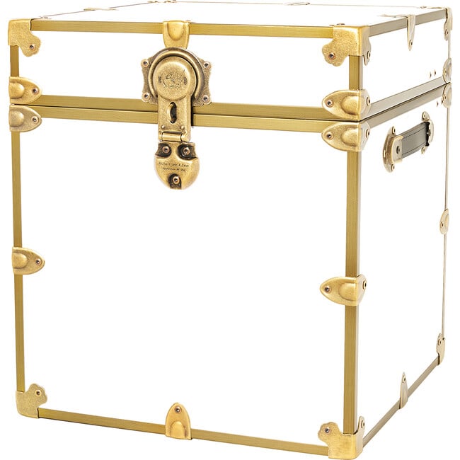 Rhino Cube Embossed Vinyl Trunk, White With Antique Brass Trim - Storage - 4