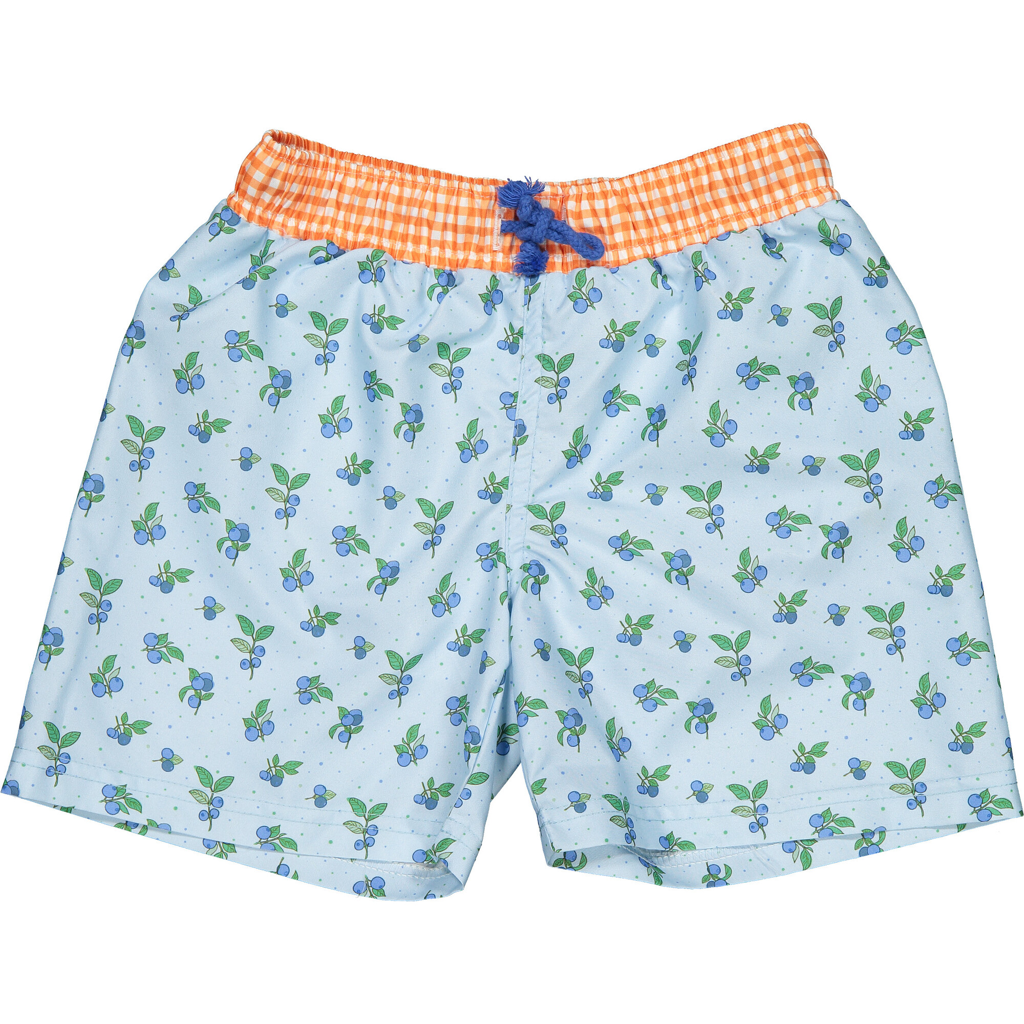 Blueberry Print Vichy Waistband Classic Swim Shorts, Multicolors - Swim Trunks - 1