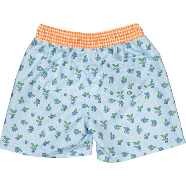 Blueberry Print Vichy Waistband Classic Swim Shorts, Multicolors - Swim Trunks - 3