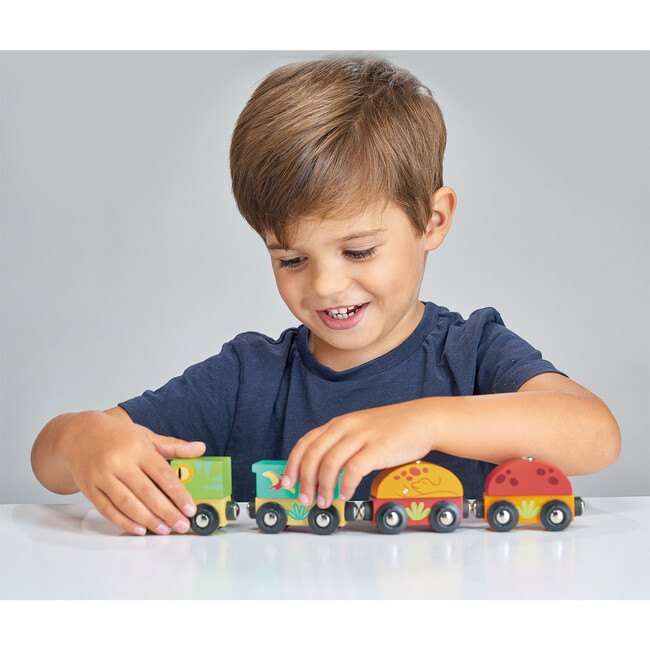 The Dinosaur Train - Woodens - 2