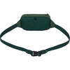 Animals Observatory Fanny Pack Bag, Green - Bags - 2