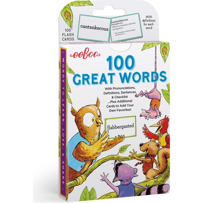 100 Great Words Vocabulary Educational Flash Cards