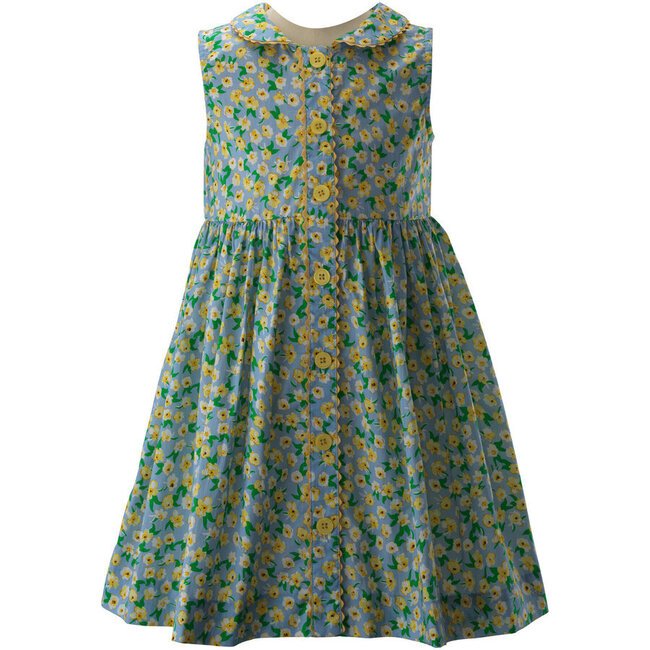 Wild Daisy Sleeveless Button-Front Dress, Blue