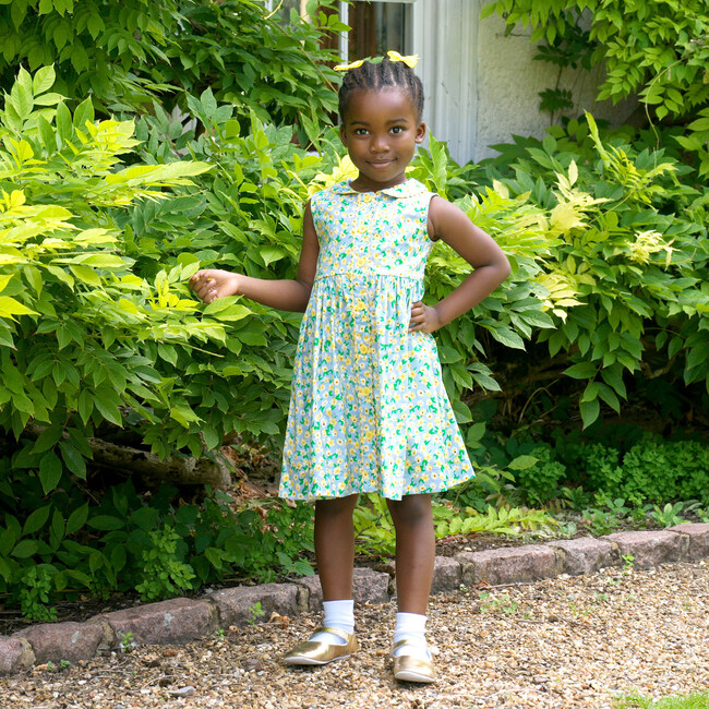 Wild Daisy Sleeveless Button-Front Dress, Blue - Dresses - 2