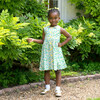 Wild Daisy Sleeveless Button-Front Dress, Blue - Dresses - 2