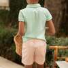 Carter Polo, Mid Ocean Mint - Pants - 4