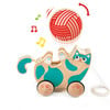 Walk-A-Long Roll & Rattle Kitten in Teal for Toddlers - Push & Pull - 3