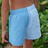 Pacific Blue Vertical Colorblock Boardie - Swim Trunks - 3