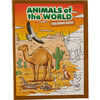 Three Little Twigs: Animals of the World Coloring Books Bundle - Coloring - 5