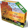 I Am Sugar Maple- Tree Sd Jigsaw Puzzle, 1000 Pieces - Puzzles - 1 - thumbnail