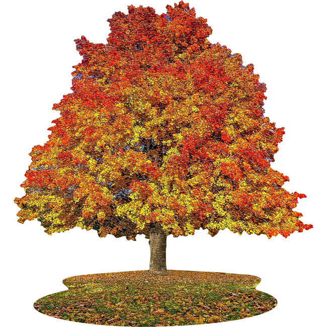 I Am Sugar Maple- Tree Sd Jigsaw Puzzle, 1000 Pieces - Puzzles - 2