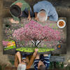 I Am Cherry Blossom- Tree Sd Jigsaw Puzzle, 1000 Pieces - Puzzles - 4