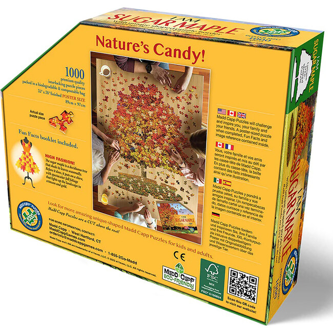 I Am Sugar Maple- Tree Sd Jigsaw Puzzle, 1000 Pieces - Puzzles - 3