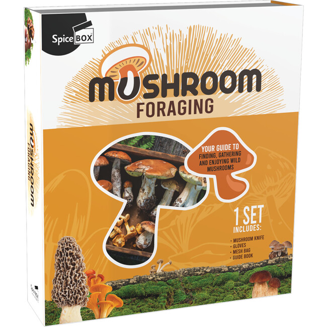 Gift Box: Mushroom Foraging Kit