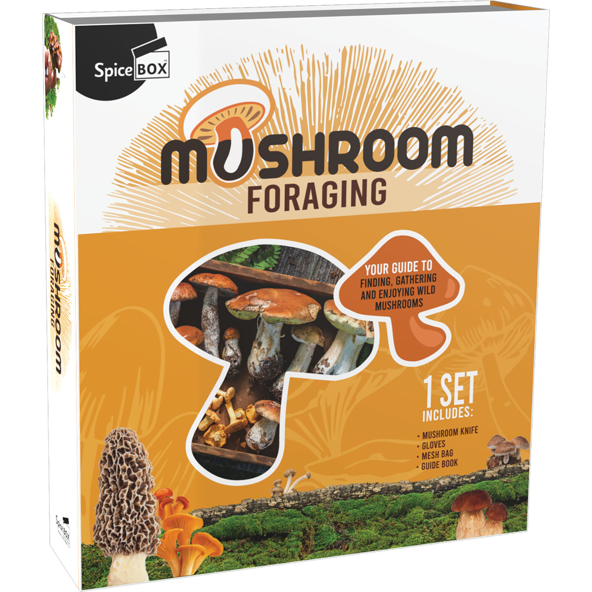 Gift Box: Mushroom Foraging Kit - Craft Kits - 1