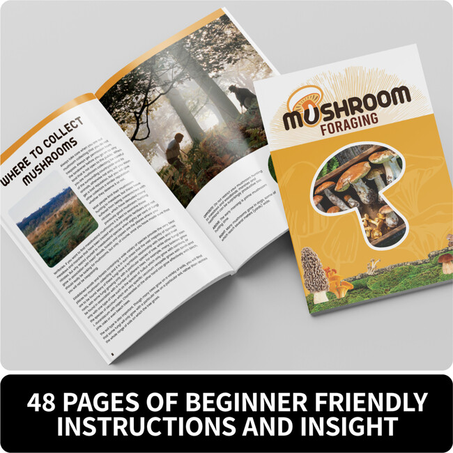 Gift Box: Mushroom Foraging Kit - Craft Kits - 4