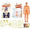 Science Lab: Human Body Kit - Craft Kits - 2