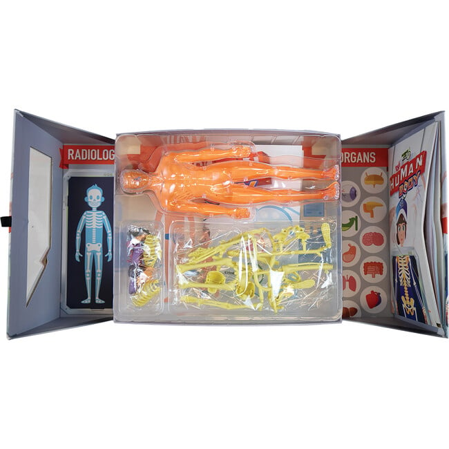 Science Lab: Human Body Kit - Craft Kits - 3