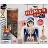 Science Lab: Human Body Kit - Craft Kits - 5