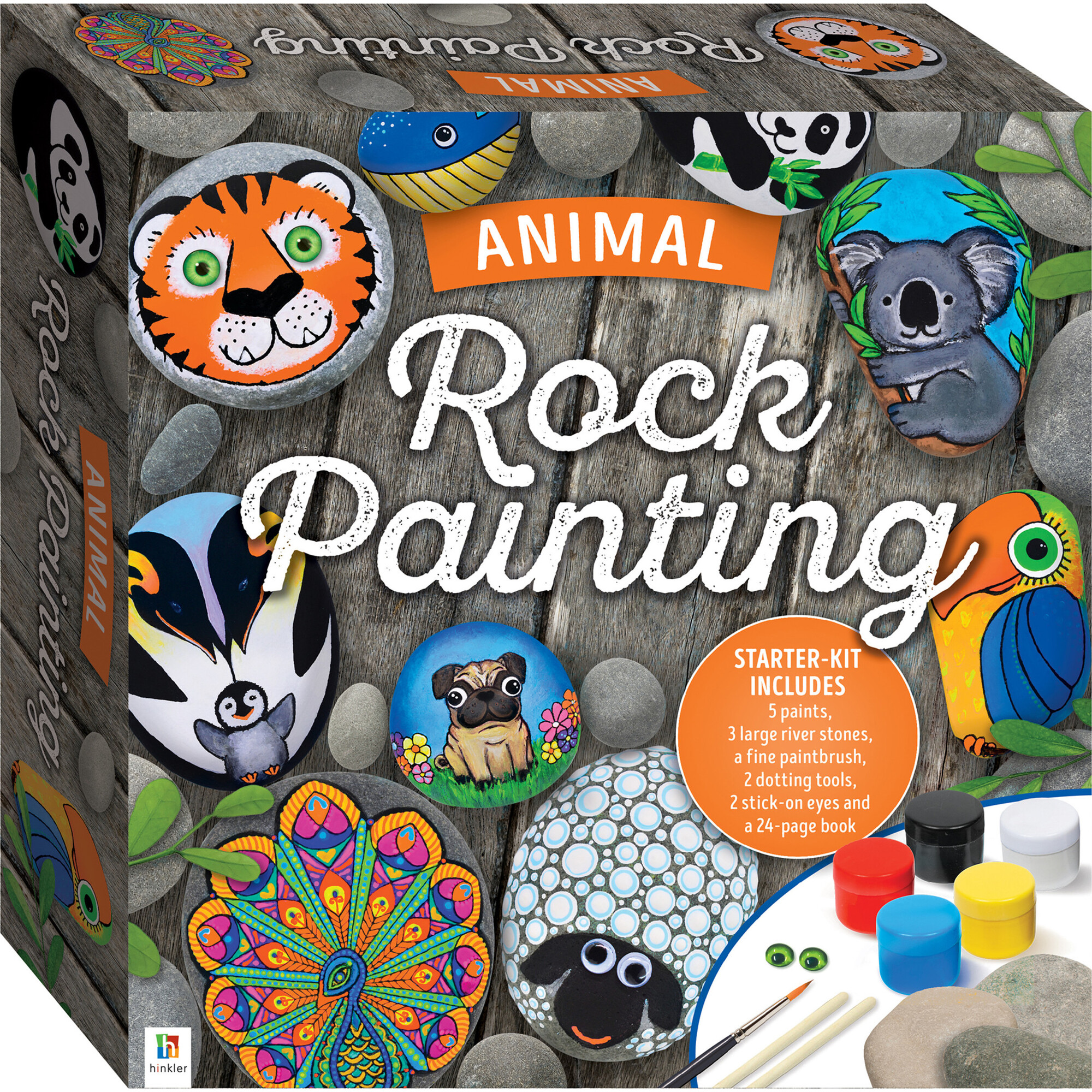 Animal DIY Rock Painting Box Set - Activities - 1