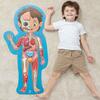 Human Body Jigsaw Puzzle, 60 Oversized Pieces - Puzzles - 2