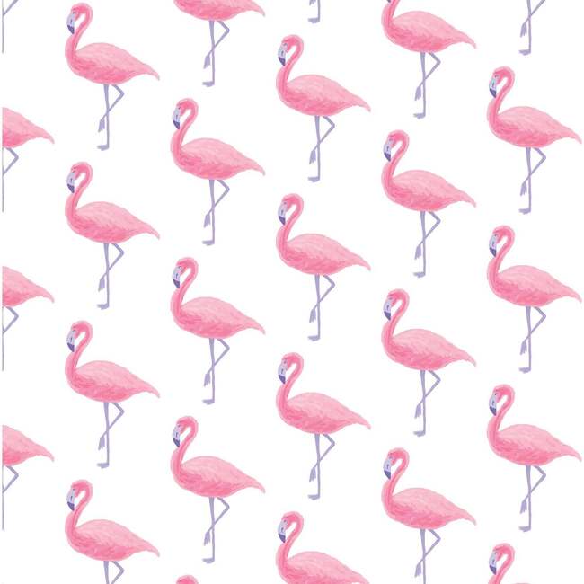Ava Girls' Pajama Pant Set, Fabulous Flamingos - Pajamas - 2