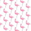 Ava Girls' Pajama Pant Set, Fabulous Flamingos - Pajamas - 2