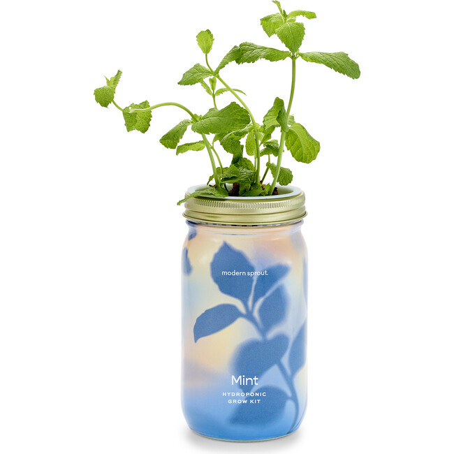 Garden Jar, Mint