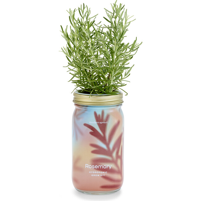 Garden Jar, Rosemary
