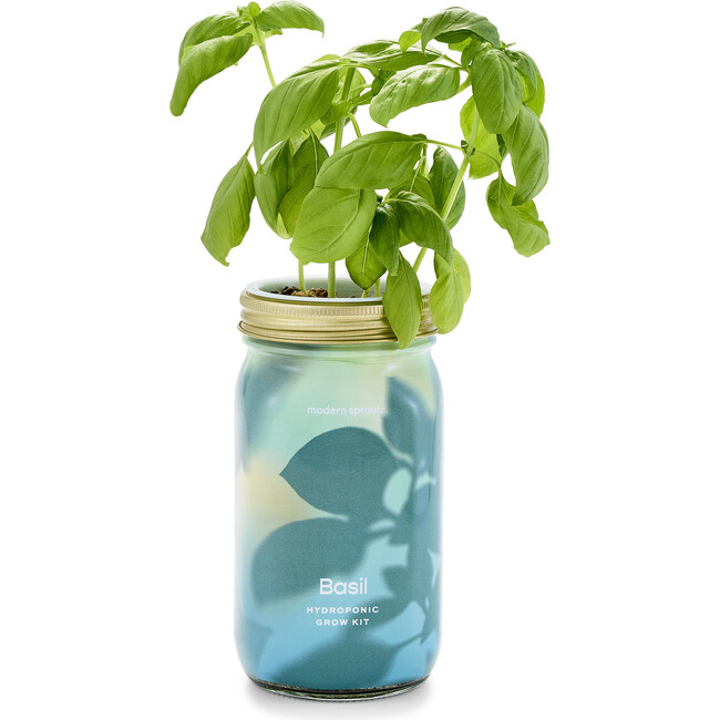 Garden Jar, Basil