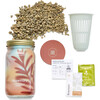Garden Jar, Rosemary - Seed Kits - 5