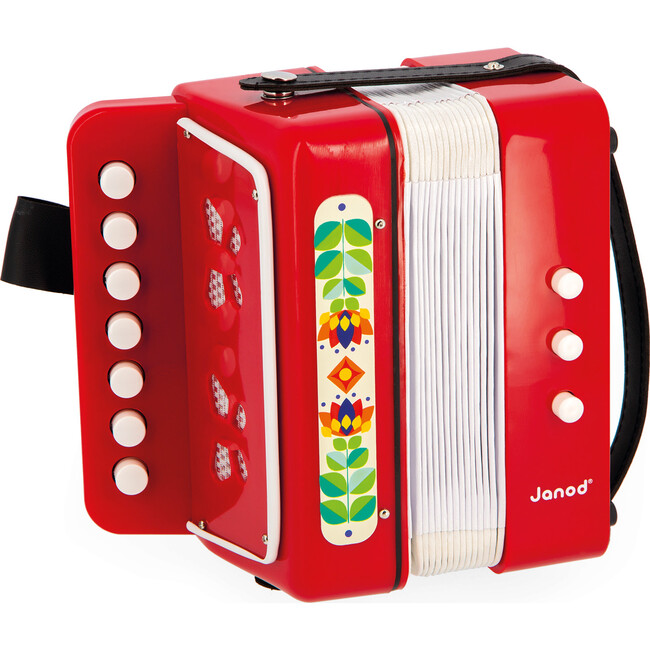 ACCORDION - Musical - 3