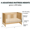 Margot 3-In-1 Convertible Crib, Honey - Cribs - 8