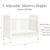 Brimsley Tambour 3-in-1 Convertible Crib - Cribs - 6