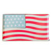 American Flag Large Plates - Party - 1 - thumbnail