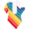 Long Sleeve Back Tie One-Piece Swimsuit, Forever Summer Rainbow - One Pieces - 3