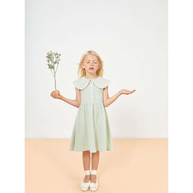 Alice Muslin Collared Dress, Green Lily - Dresses - 4