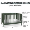 Birdie 3-In-1 Convertible Crib, Forest Green - Cribs - 8
