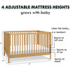 Birdie 3-In-1 Convertible Crib, Honey - Cribs - 8