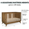 Otto 3-in-1 Convertible Crib, Walnut - Cribs - 8