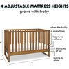 Hunter 3-In-1 Convertible Crib, Chestnut - Cribs - 8