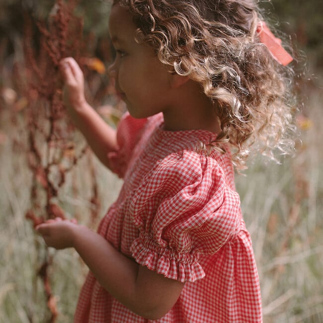 Draughts Mini Check Linen Dress, Strawberry & Oat - Dresses - 6