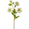 Real Touch Helleborus Stem - Bouquets - 1 - thumbnail