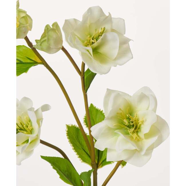 Real Touch Helleborus Stem - Bouquets - 2