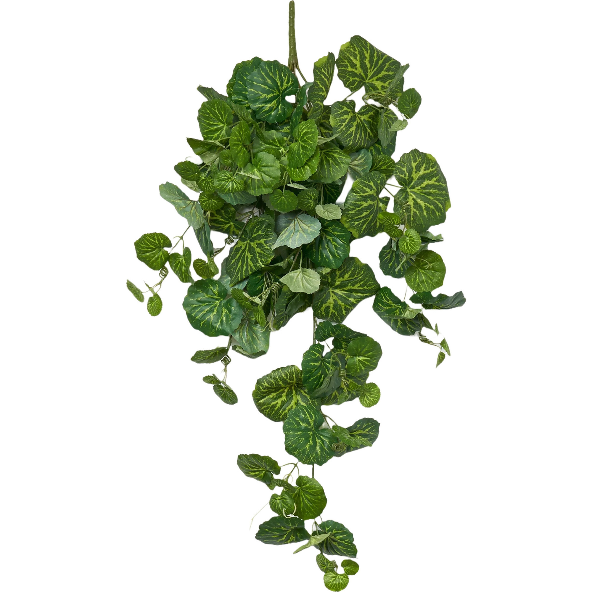 French Begonia Hanging Leaf Spray - Bouquets - 1